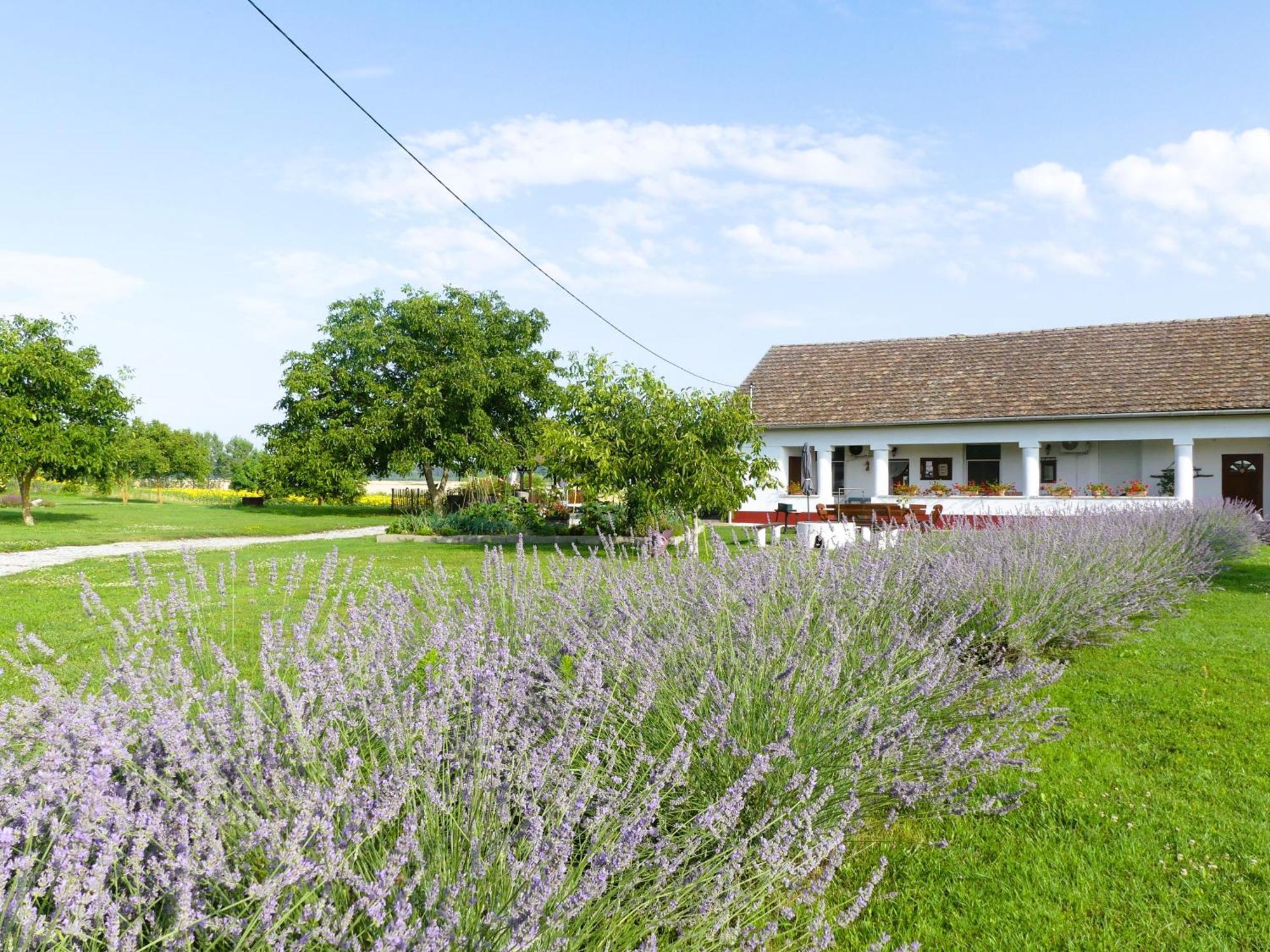Tisza White House Bed & Breakfast Tiszaszolos Exterior photo